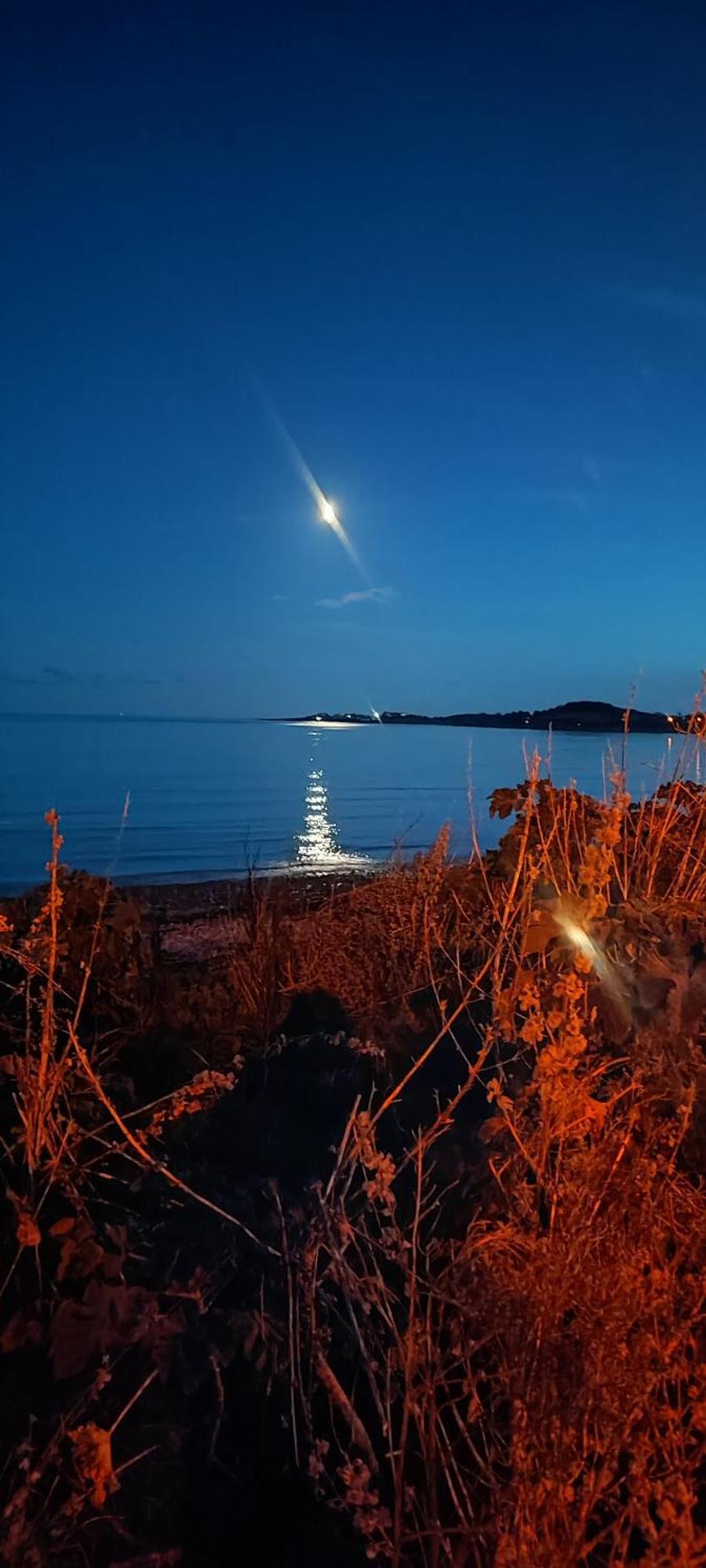 Horse Island View Luxury Retreat Apartment Kircubbin Ngoại thất bức ảnh